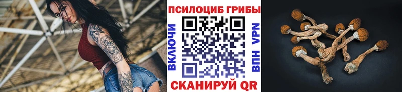 Псилоцибиновые грибы прущие грибы  Райчихинск 