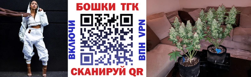 Бошки марихуана Amnesia  Райчихинск 